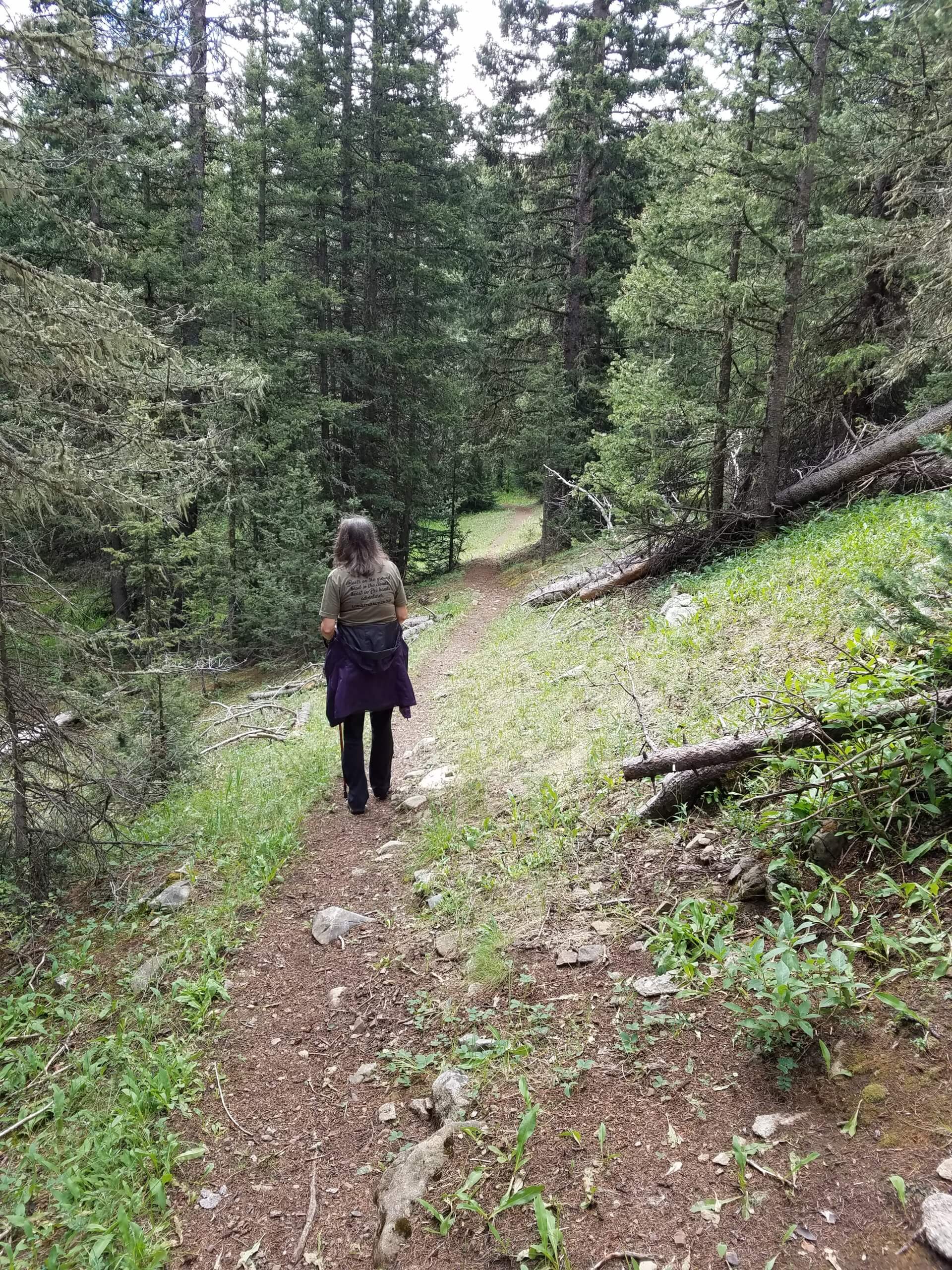 Hiking on Sawmill Pass Trail